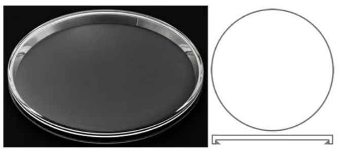 Verre de montre pour Longines / saphir ou minéral - 1 pièce