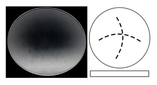 Liste - Verre de montre pour Longines / Saphir ou Minéral / Bombé ou Plat - 1 pièce