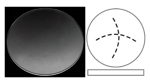 Liste - Verre de montre pour Longines / Saphir ou Minéral / Bombé ou Plat - 1 pièce