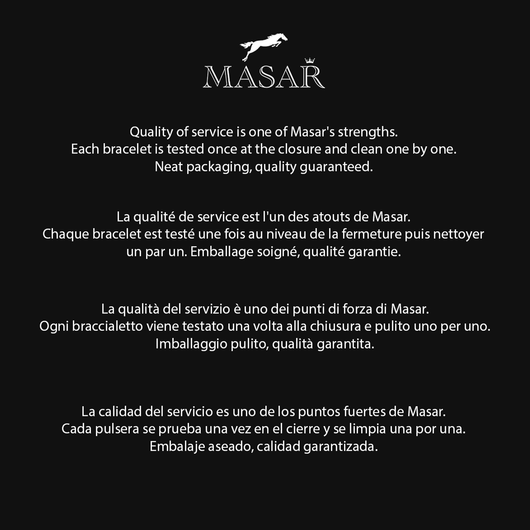 Bracelet de Montre Maille Acier Milanaise Compatible Citizen